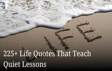 225+ Life Quotes That Teach Quiet Lessons 225+ life quotes that teach quiet lessons written in sand by the sea